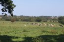 De Vierville à Englesqueville